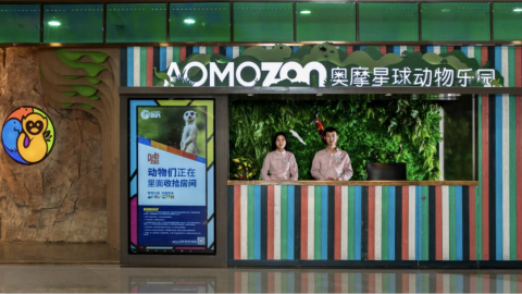 神奇动物在哪里？快来奥摩星球交朋友吧！